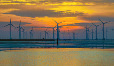 Offshore Wind Policy Framework in Germany and Netherlands