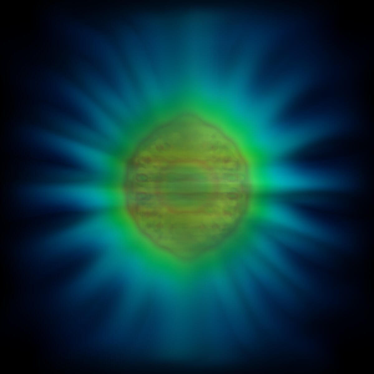 Photon