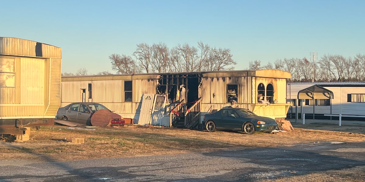 Space heater fire kills cat, destroys Beaufort County home, officials say