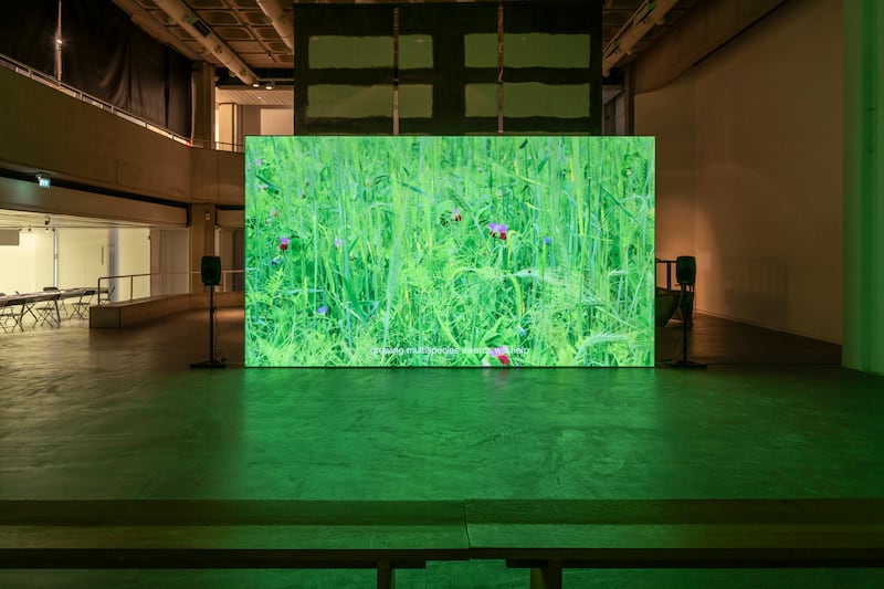 Deirdre O'Mahony: The Quickening, at the Douglas Hyde Gallery, Dublin. Photograph: Louis Haugh