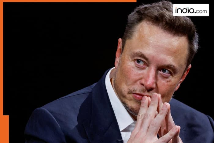 Elon Musk, Kekius Maximus, cryptocurrency, social media platform, Pepe the Frog, meme, Internet meme, Matt Furie, Shiba Inu, Dogecoin, CoinGecko data, Maximus, Gladiator, blockchain platforms, Ethereum, Solana