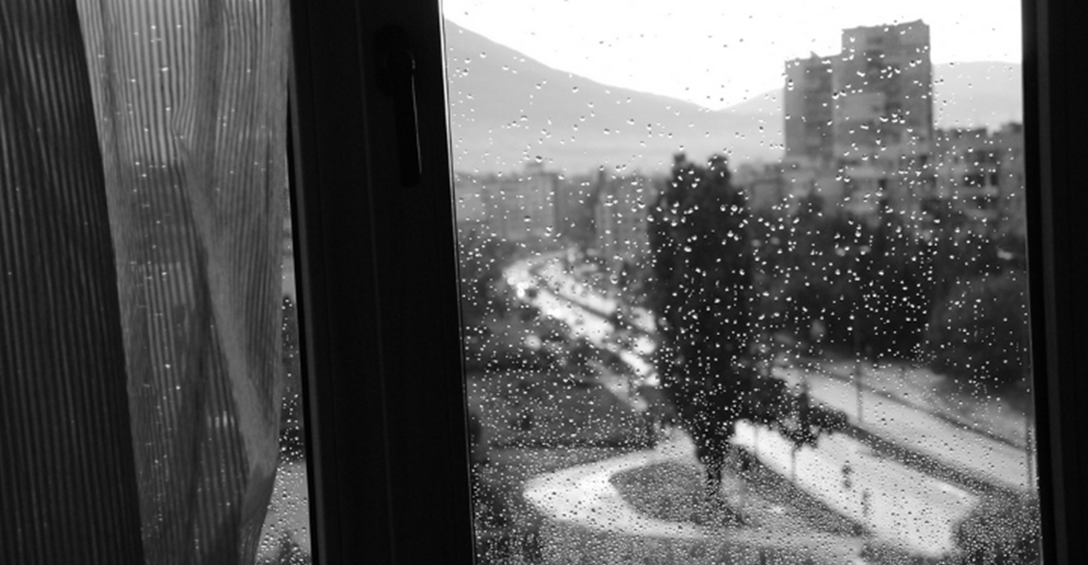 Bulgaria issues weather warnings for December 26 over forecasts of strong wind, heavy rain – The Sofia Globe