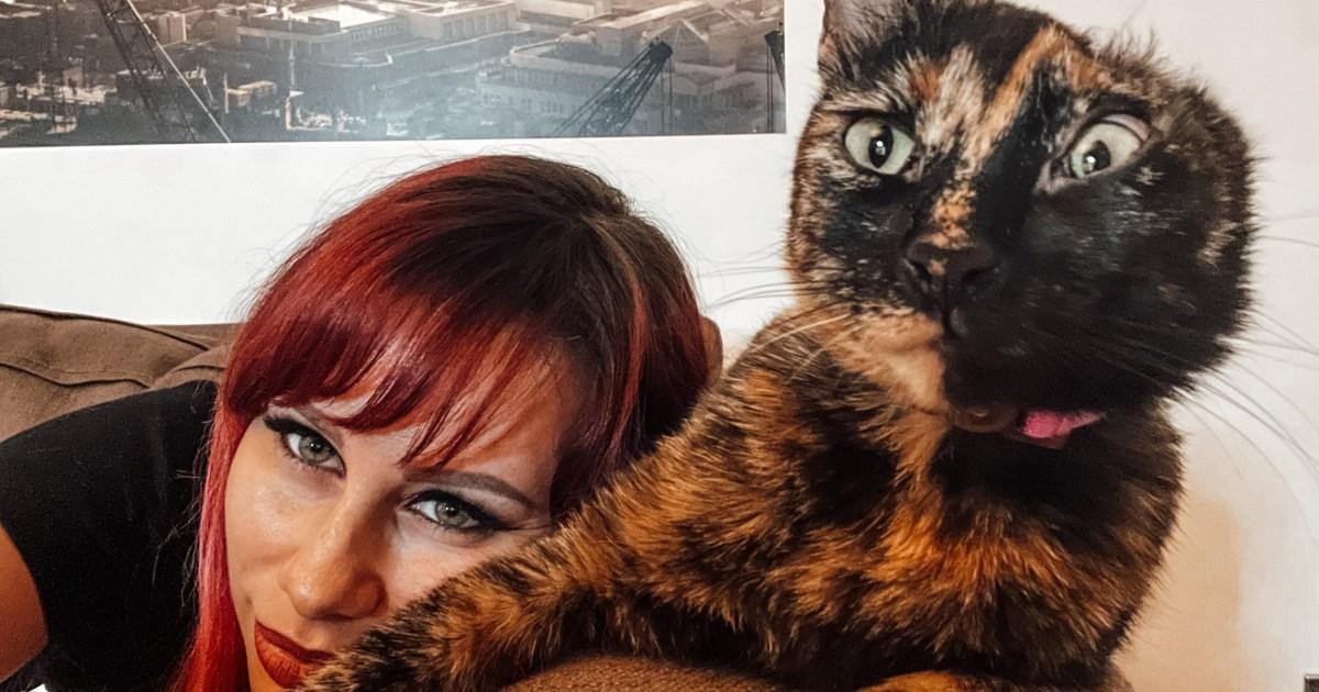 I fell for a one-eared rescue cat – she's cost me £10,000