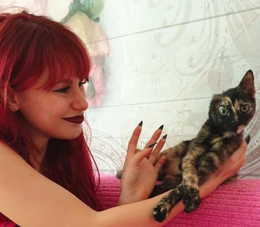 Desislava Dobreva - I spent thousands rescuing a cat from Bulgaria