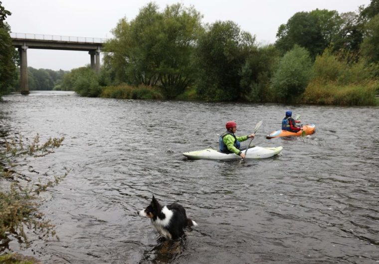 A dog and kayakers enjoy a day out in the River Wye in Hay-on-Wye, South Wales, on August 14, 2023. The Wye Valley and its meandering river have notably inspired the Romantic poet William Wordsworth who eulogised it in the 1798 poem 