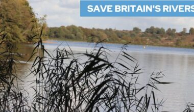UK bathing sites polluted with drugs and pesticides could create superbugs