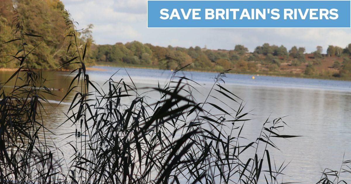 UK bathing sites polluted with drugs and pesticides could create superbugs