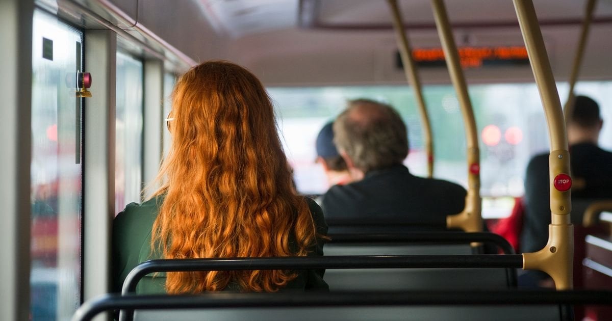 Millions of bus passengers to be hit by painful increase in single fares in New Year