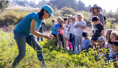 School children harvest about nutrition, environment and science by spending time on the farm