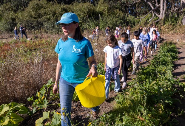 Sara Neale, farm educator at the HEAL Project, takes a group of El Granada Elementary School 3rd graders on a farm field trip Wednesday, Oct. 23, 2024, in Half Moon Bay, Calif. (Karl Mondon/Bay Area News Group)