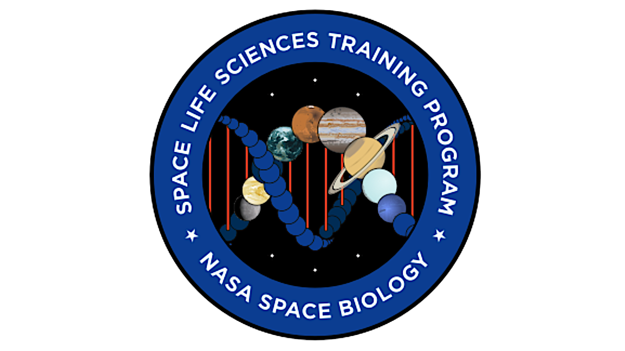 Space Life Sciences Training Program Interns Present Summer Projects