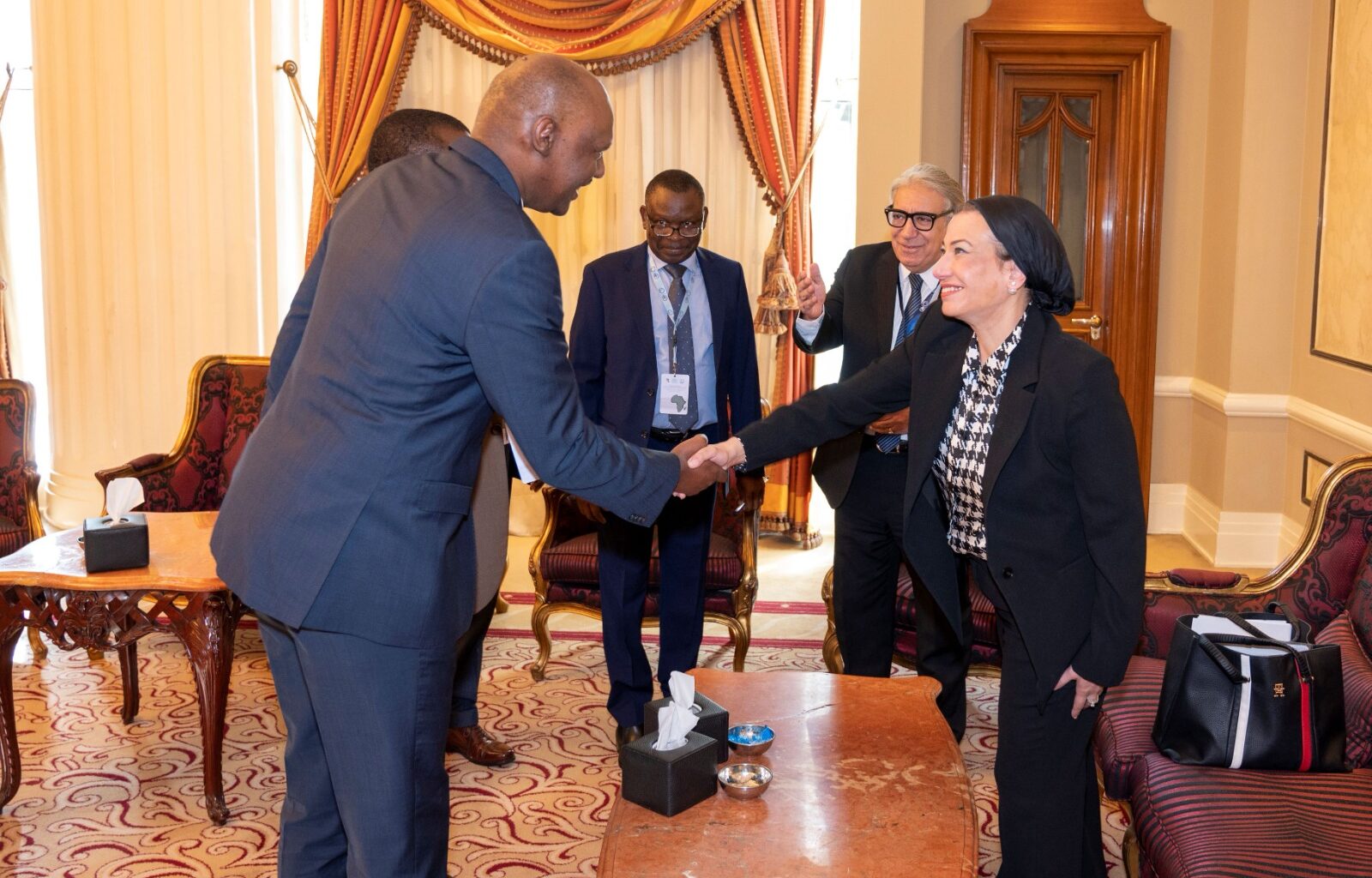 Fouad advances Egyptian-African cooperation in environmental protection