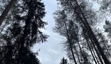 Weekend: slippery roads and intensive precipitation in Latvia