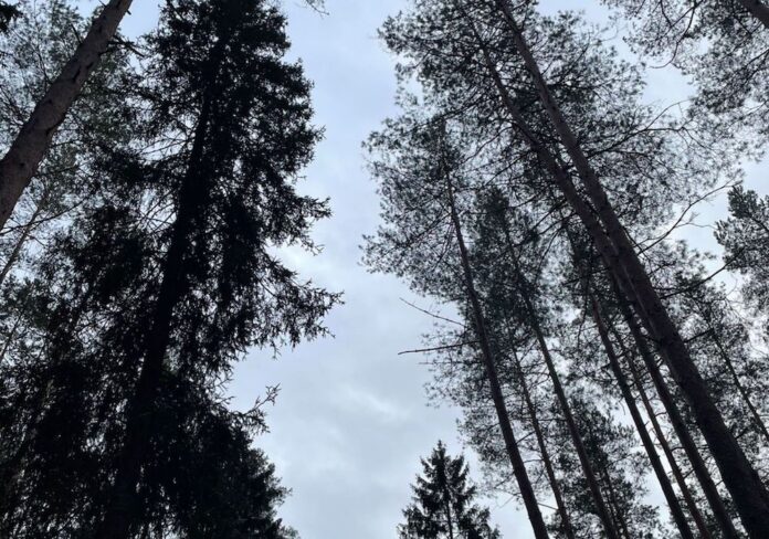 Weekend: slippery roads and intensive precipitation in Latvia