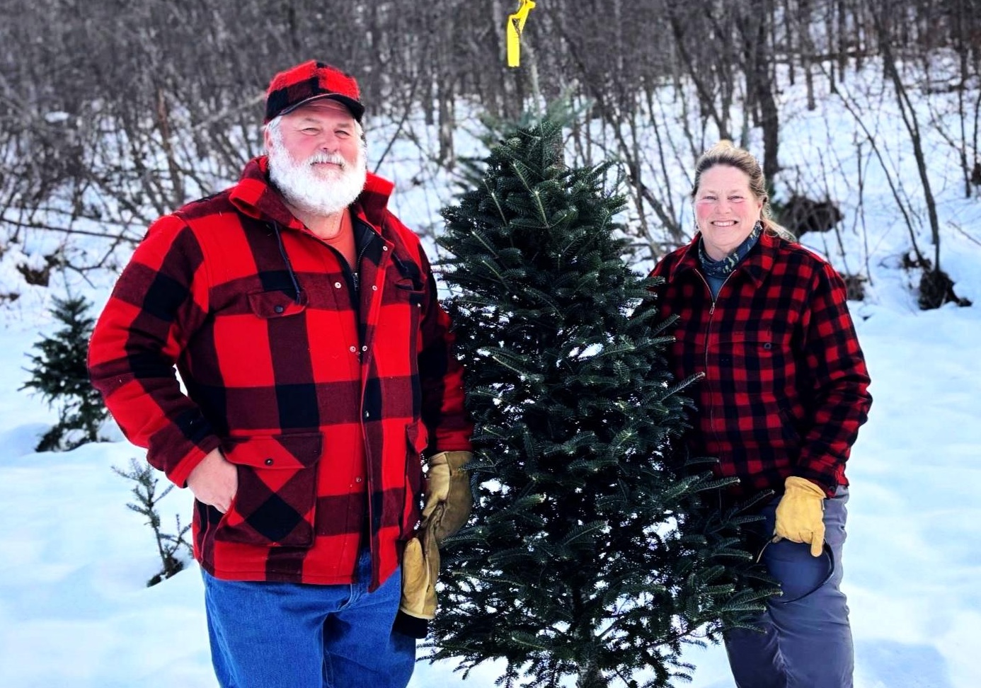 Flooded Fields, Dying Trees: Vermont’s Christmas Tree Farms Grapple with Changing Climate