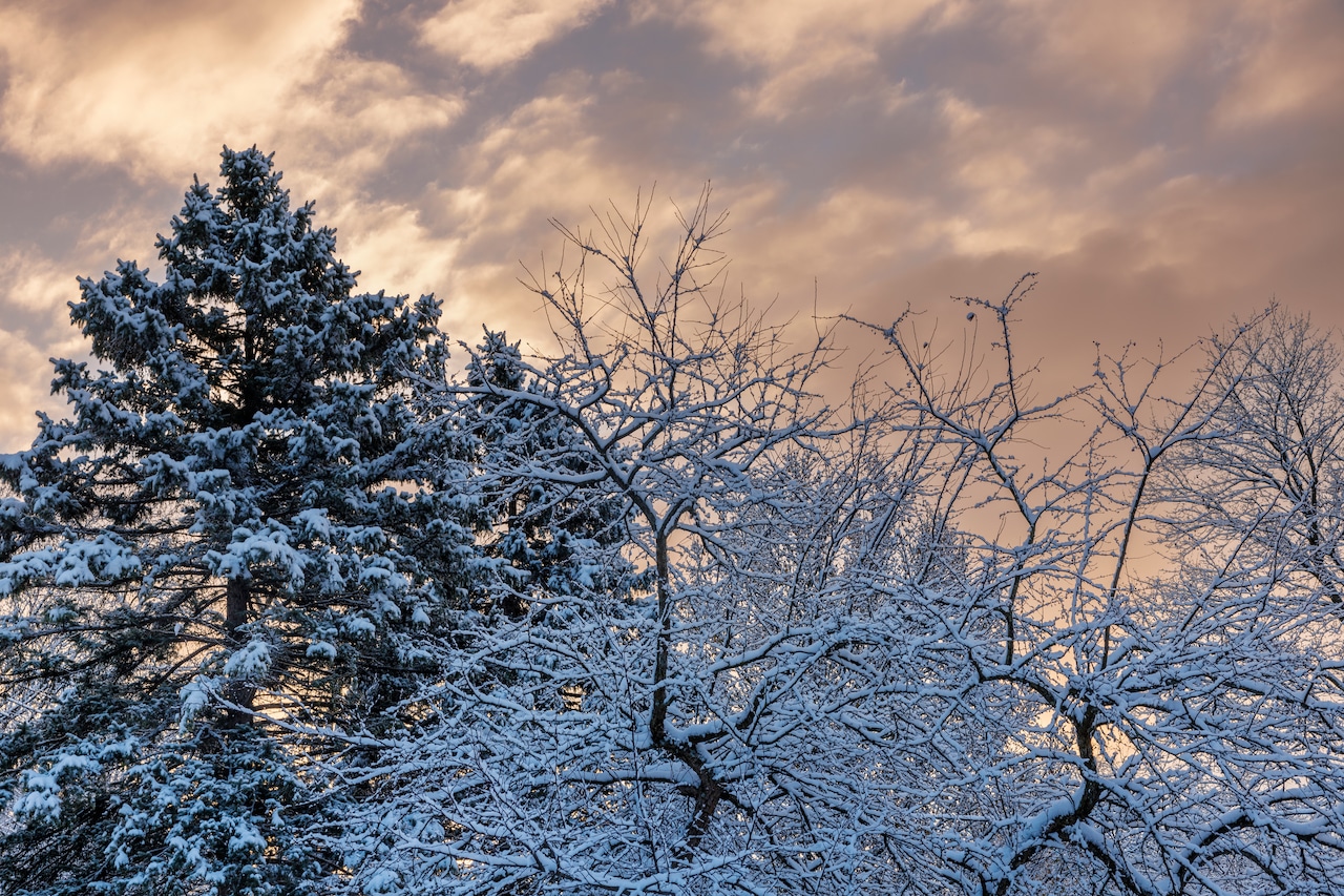 New Year’s week storm could dump as much as 3 feet of snow on parts of Central NY