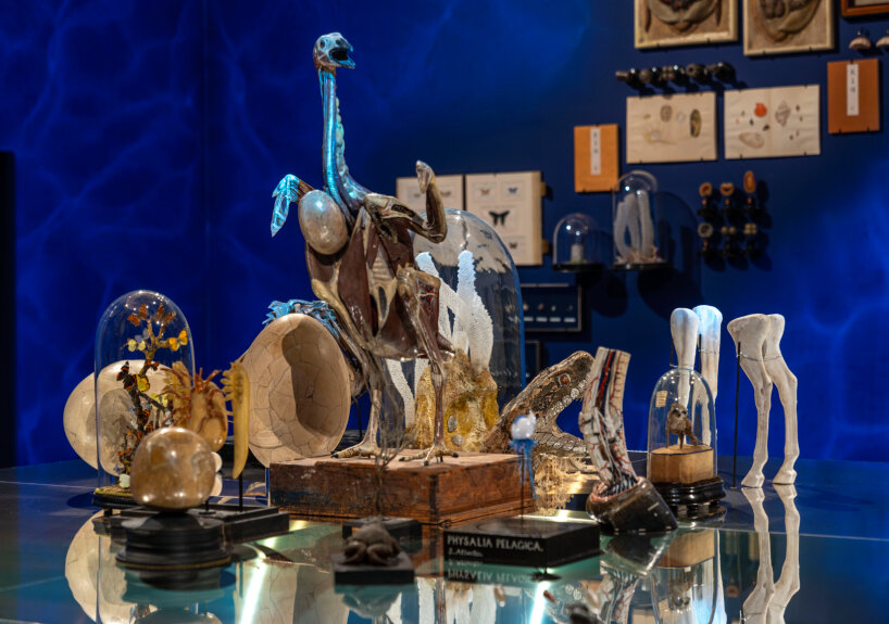 exhibition palazzo grimani venice