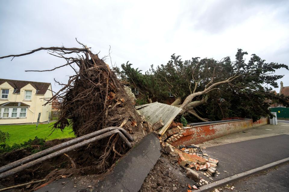 Burnham-on-Sea in Somerset where a tree has fallen on homes as Storm Darragh brings strong winds and heavy rain across the United Kingdom.