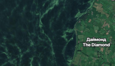 Saw this in Google Maps, what is that?