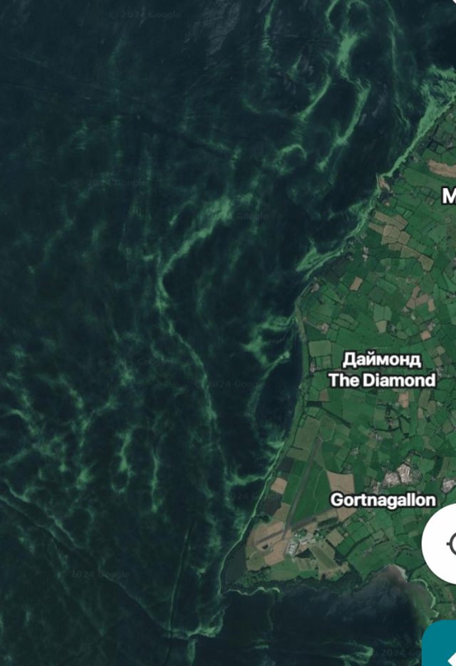 Saw this in Google Maps, what is that?