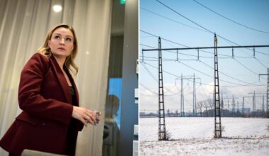Sverige borde bli ett enda elprisområde