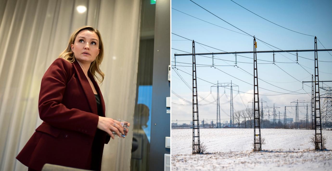 Sverige borde bli ett enda elprisområde
