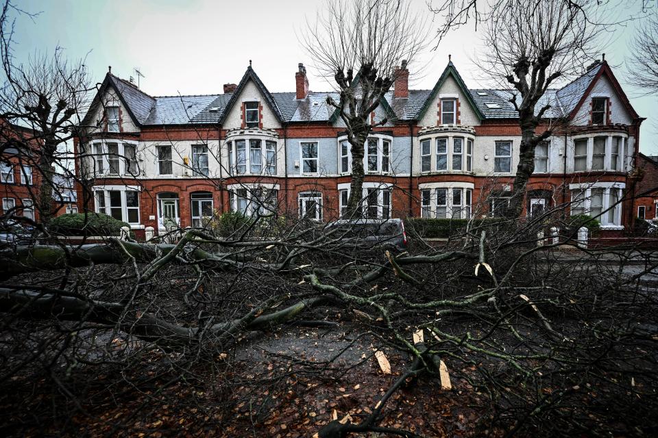 A photograph taken on December 7, 2024, shows fallen trees blocking and covering Greenbank road in Liverpool as storm Darragh brings winds of nearly 90 mph to the west of Wales and north-west England. The UK's Met Office had issued a rare red alert for high winds overnight to Saturday morning (0300 to 1100 GMT) covering parts of Wales and southwest England. Tens of thousands of people across the UK were left without power on Saturday morning after Storm Darragh hit the country with strong winds and caused pre-Christmas travel disruption. (Photo by Paul ELLIS / AFP) (Photo by PAUL ELLIS/AFP via Getty Images)
