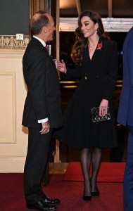 LONDON, ENGLAND - NOVEMBER 9:  Britain's Catherine, Princess of Wales attends the Royal British Legion Festival of Remembrance at the Royal Albert Hall on November 9, 2024 in London, England. (Photo by Chris J. Ratcliffe - WPA Pool/Getty Images)