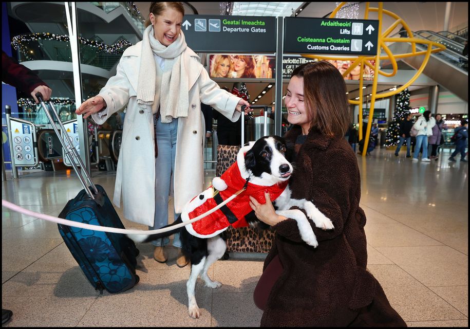 Ellen Merry is welcomed home from New York by her Mum Una and her dog Oreo at Dublin Airport Arrivals.
Photo by Steve Humphreys