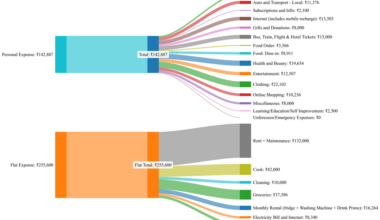 My 2024 Spending Breakdown