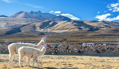 Bolivia and Belarus How Do These Hidden Gems The Land of Wonders and Adventure in Bolivia and the Untouched Beauty of Eastern Europe in Belarus—Compare as Top Emerging Tourism Destinations?