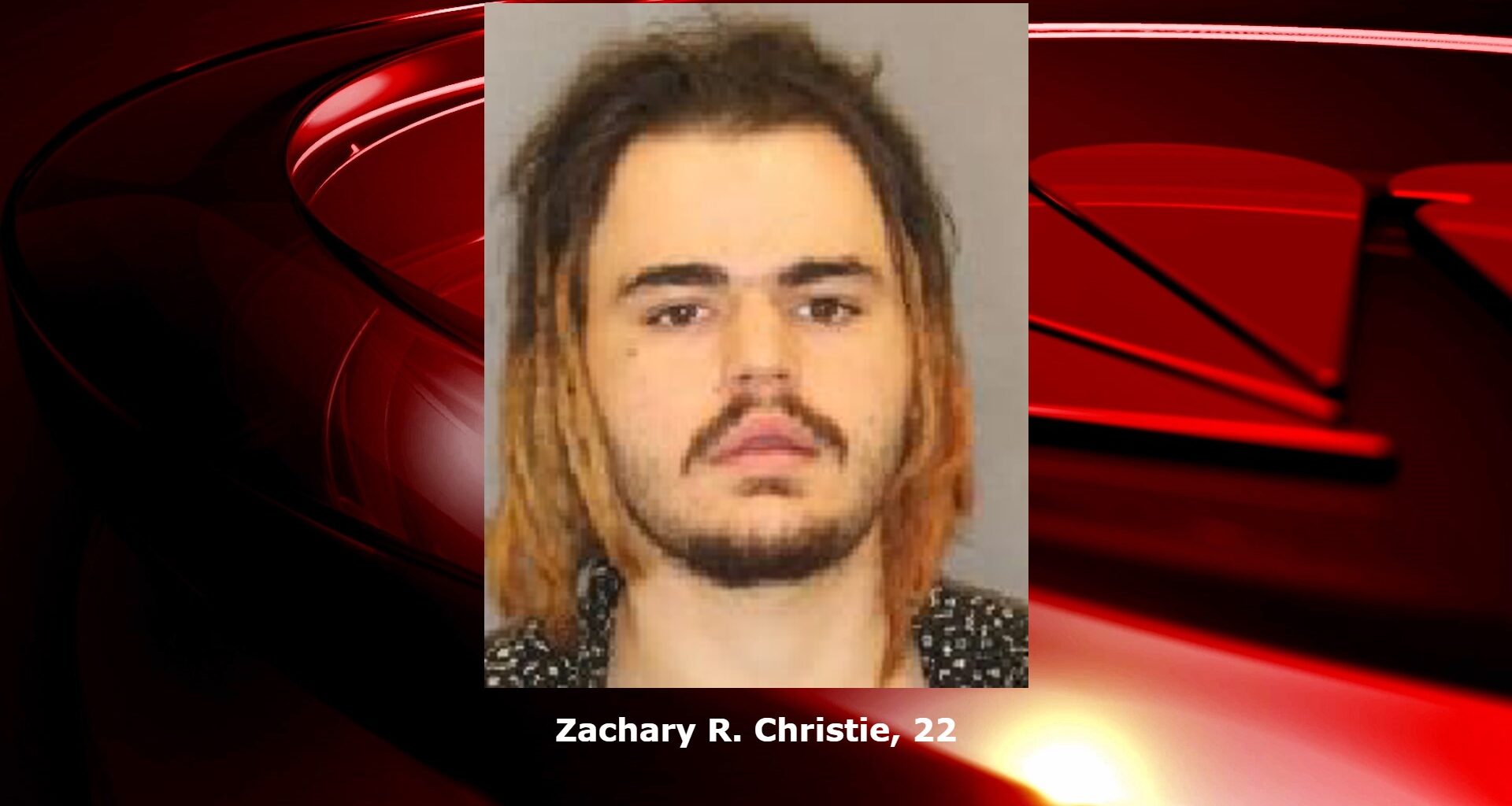 Watervliet man pleads guilty in Malta assault
