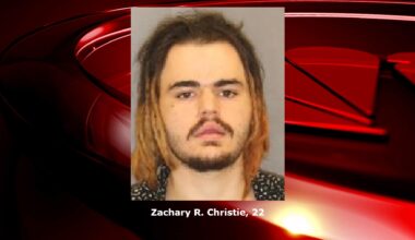 Watervliet man pleads guilty in Malta assault