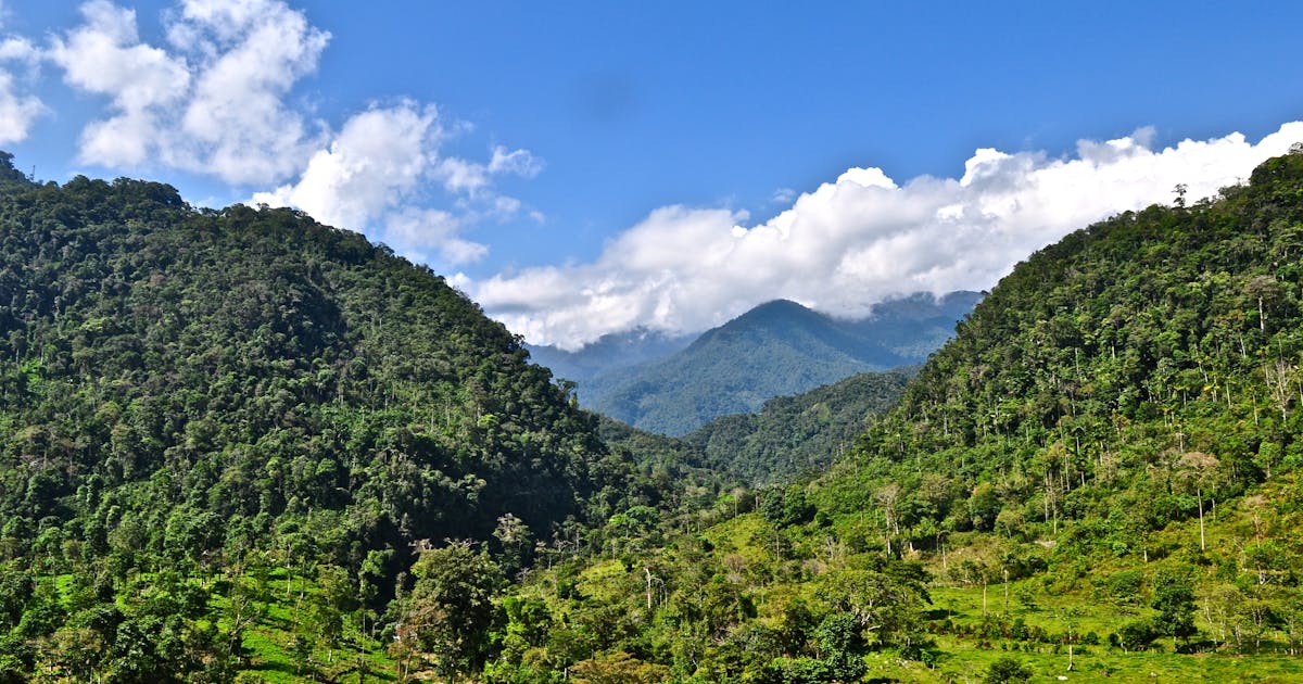 In climate fight, ‘nature vs tech’ a false debate