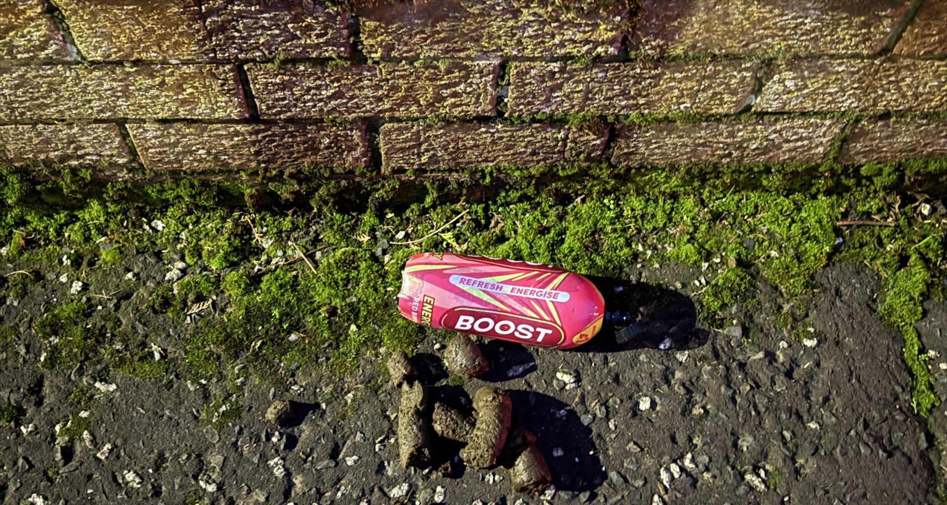West Belfast In a Pictire