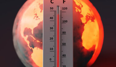 Climate change exacerbated Canada's summer heat waves: ECCC