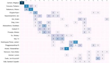 Chess players featured in the top 20 in 2024