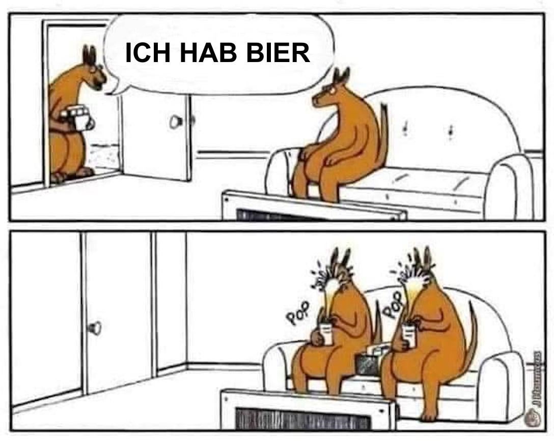 Känguruprobleme