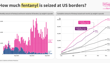 How much fentanyl is seized at US borders? [OC]