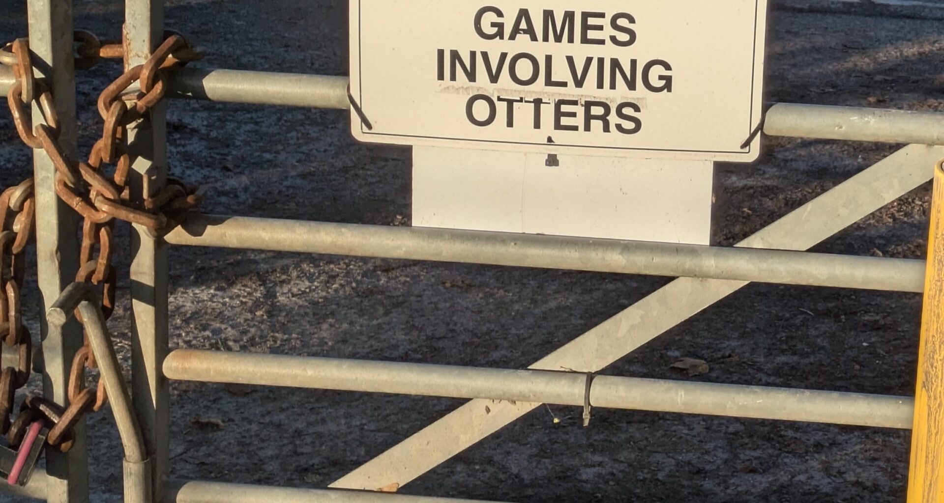 I wonder what games these might be