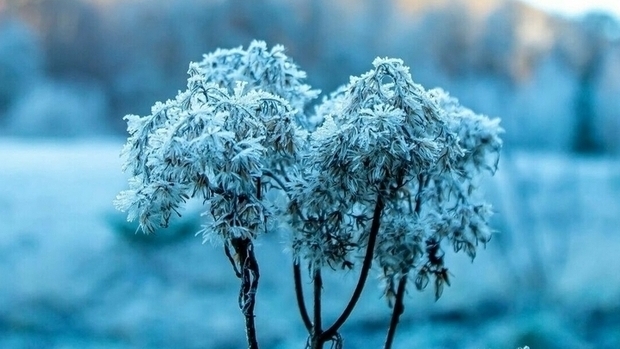RTL Today - Weather: 2024 ends on a sour note