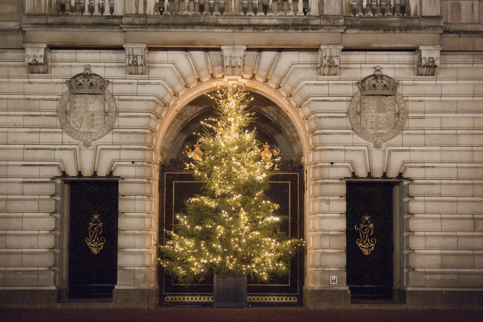 A Christmas tree featuring bright white lights stands outside of Buckingham Palace in London