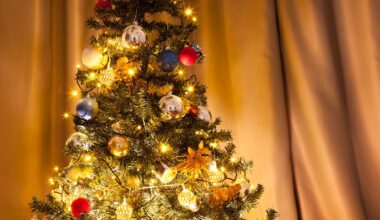 Jak Polska oszczędza prąd przed Bożym Narodzeniem?