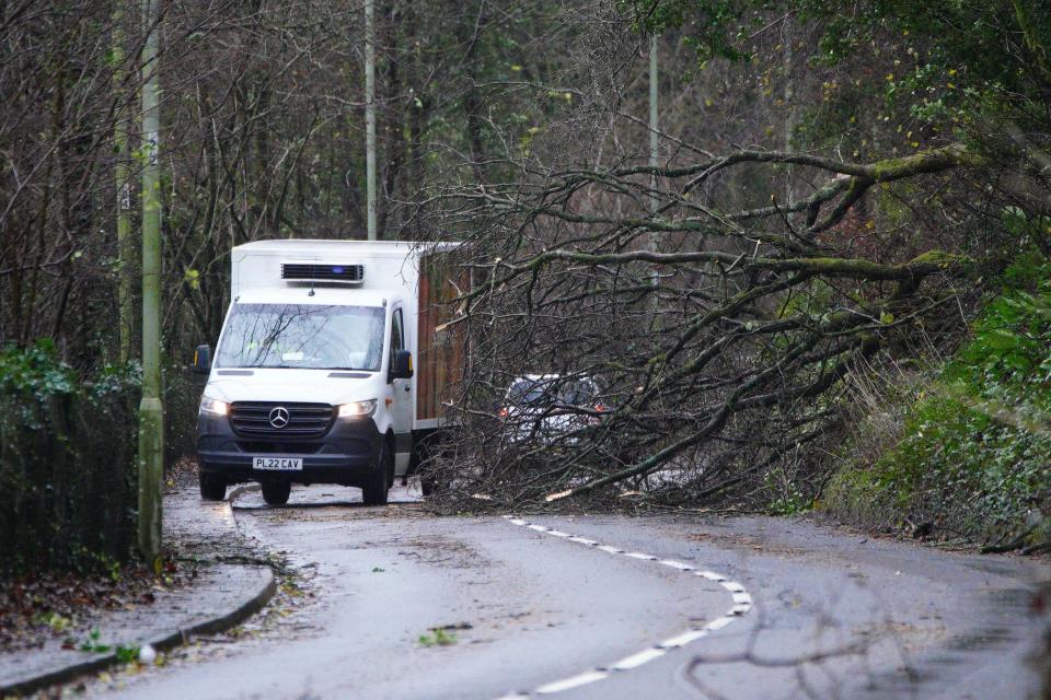 A fallen tree blocking a road on Llantwit road Pontypridd, Wales. Millions have been warned to stay indoors, thousands are without power and trains have been cancelled as the Government's 