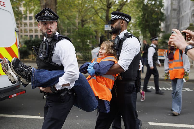 Climate protests became more frequent towards the end of the 2010s.