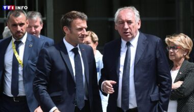 EN DIRECT - Futur gouvernement : "Si je peux aider, je le ferai", déclare François Bayrou à TF1/LCI