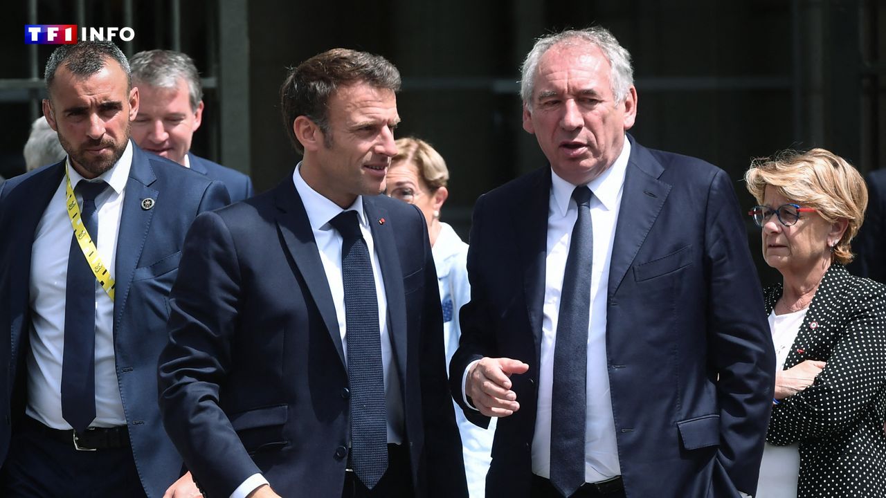 EN DIRECT - Futur gouvernement : "Si je peux aider, je le ferai", déclare François Bayrou à TF1/LCI