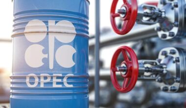 OPEC+ Faces Uncertainty: Geopolitics and Oil Market Challenges in 2025