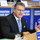 EP-174121A_Sefcovic