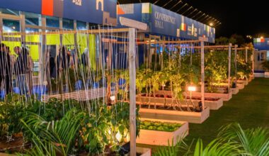Lollobrigida inaugura il primo "Orto italiano" al Villaggio Italia di Doha